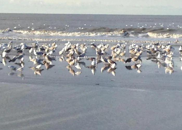 Strand&meer Appartement *